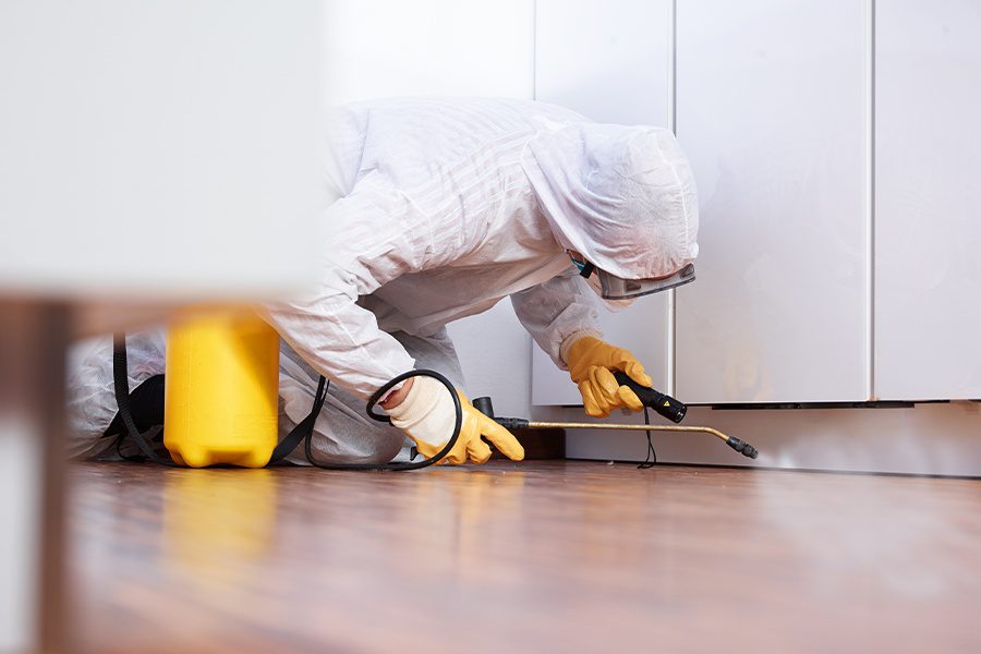 Pest-Control-Insurance-Pest-Control-Worker-in-the-Kitchen-of-a-Home-Spraying-Pesticide-Under-the-Kitchen-Cabinets